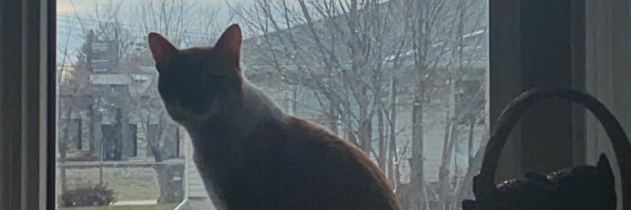 gxbbar's profile banner image