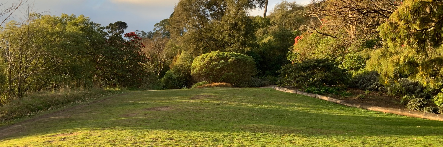 Trachemys scripta elegans banner