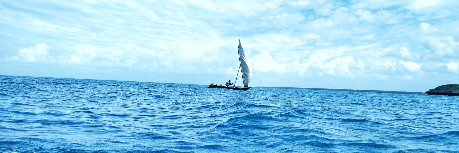 nyali_'s profile banner image