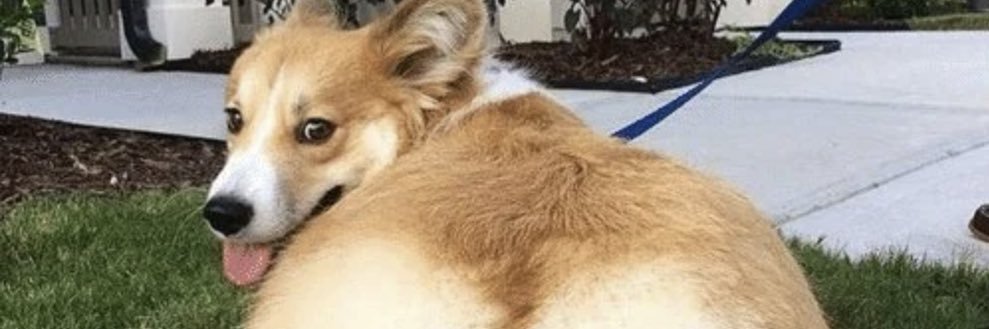kaleb_luna's profile banner image