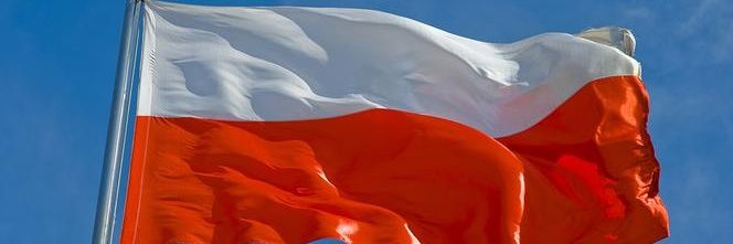 Robert z....🇵🇱 banner