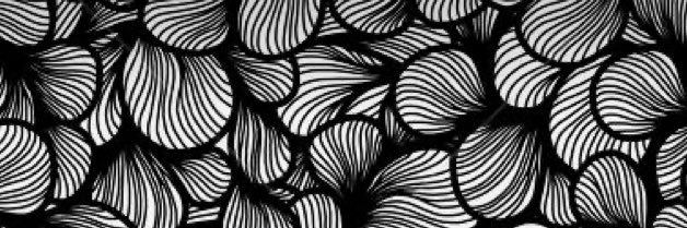 Sselavy_ banner