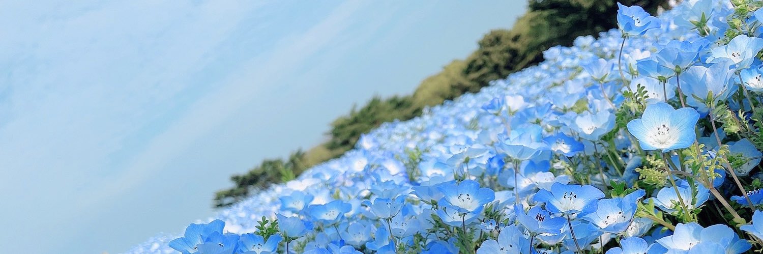 AilesMc5's profile banner image