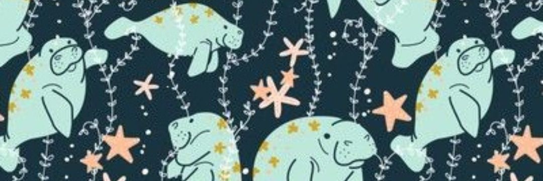 hardlypretty's profile banner image
