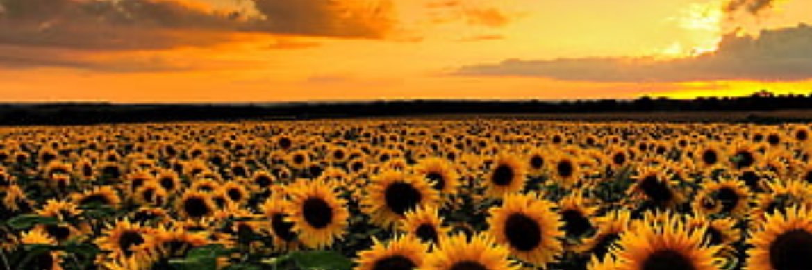JdaSlayer_'s profile banner image