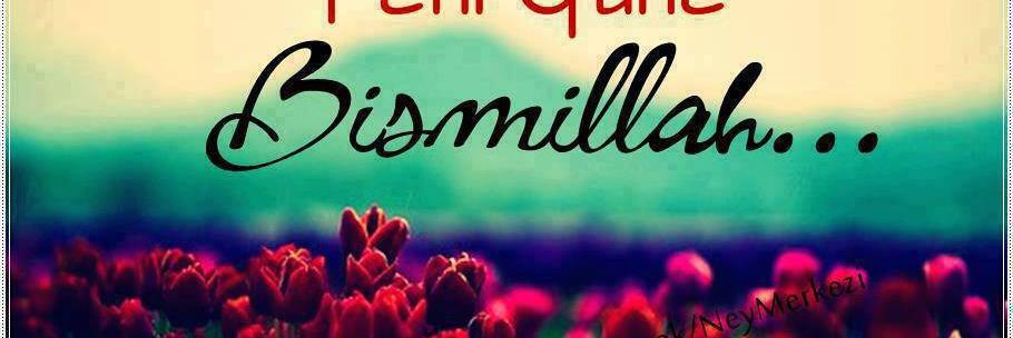 SelmaErolu123's profile banner image