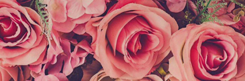 ammyydavis's profile banner image
