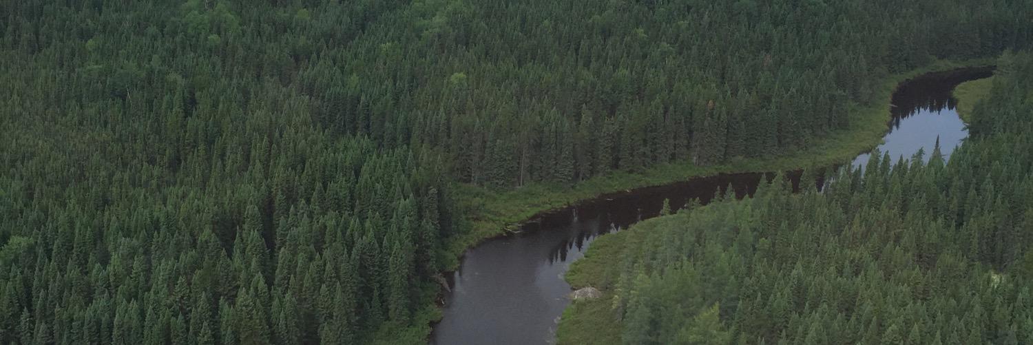 AmyMoas's profile banner image