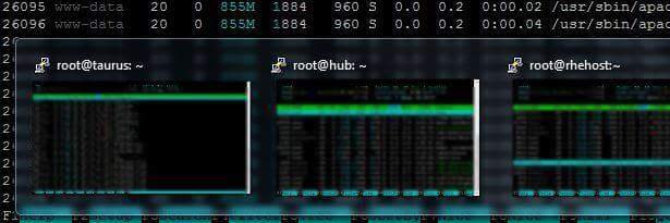 rhehost's profile banner image