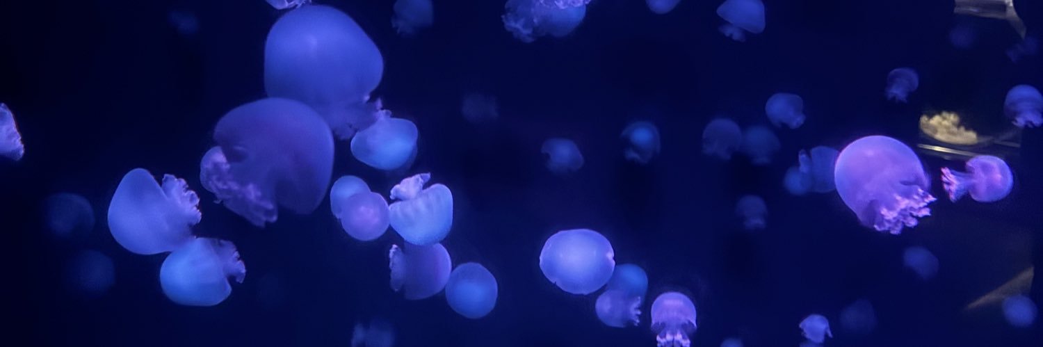 ruato0906's profile banner image