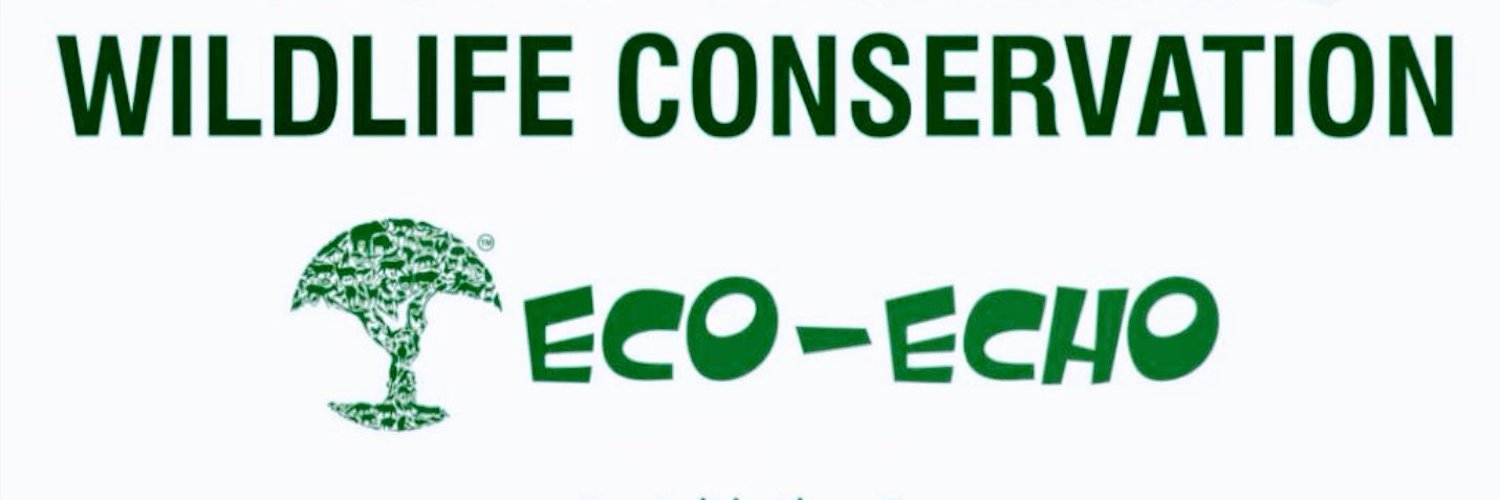 RESQ_Eco_Echo Profile Banner