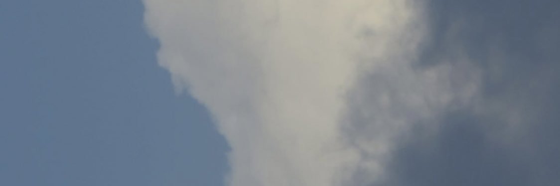 meow. banner