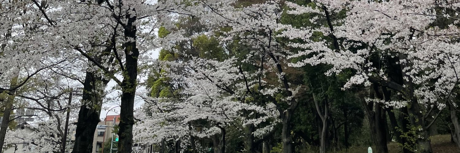 koki_1016kk's profile banner image