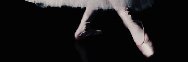 julkazmierczak1 Profile Banner