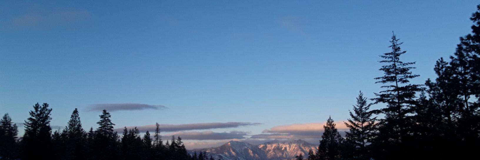 robinarnfield's profile banner image