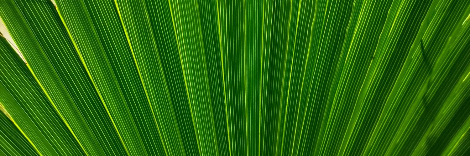 marifer_ort's profile banner image