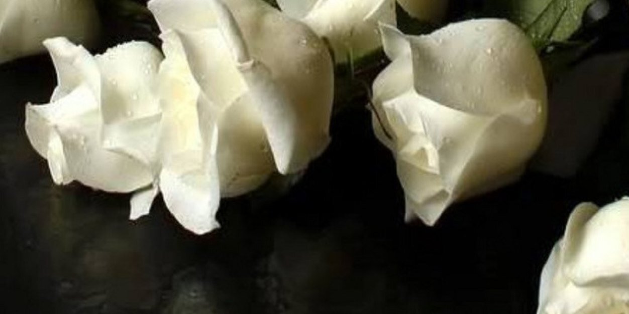 irmacampoz's profile banner image