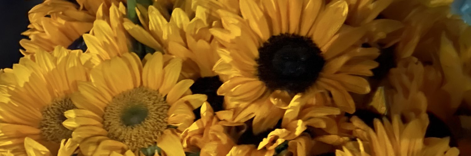 こきんちゃん(貴族の王女様) banner