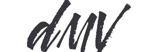 DMV Consulting and Networking LLC banner