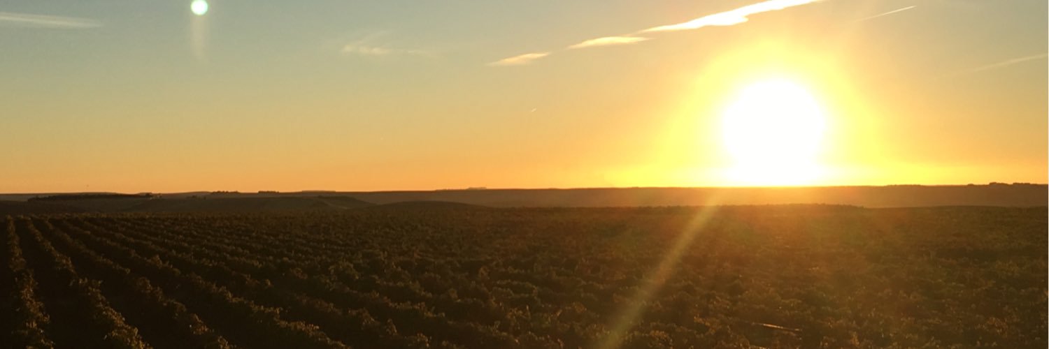monimacmartinez's profile banner image