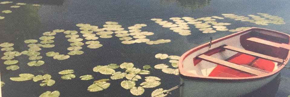 HomeViewResi's profile banner image