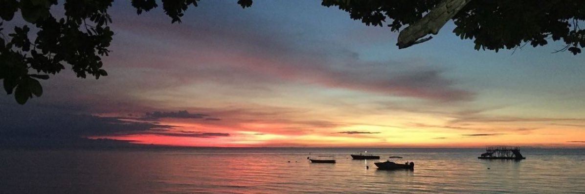 𝘼𝙇𝘼𝘼 🐆. banner