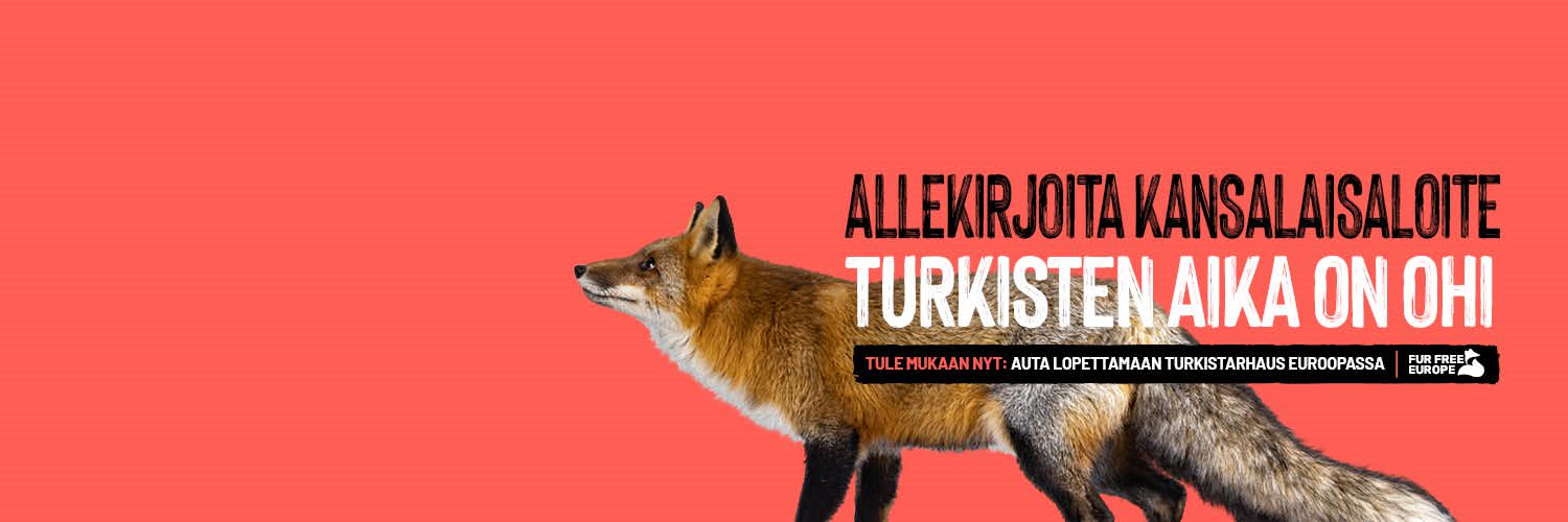 HeidiKivekas's profile banner image