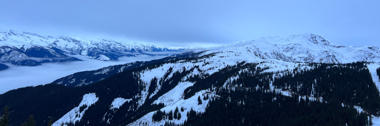 WolfOfAllTweets's profile banner image