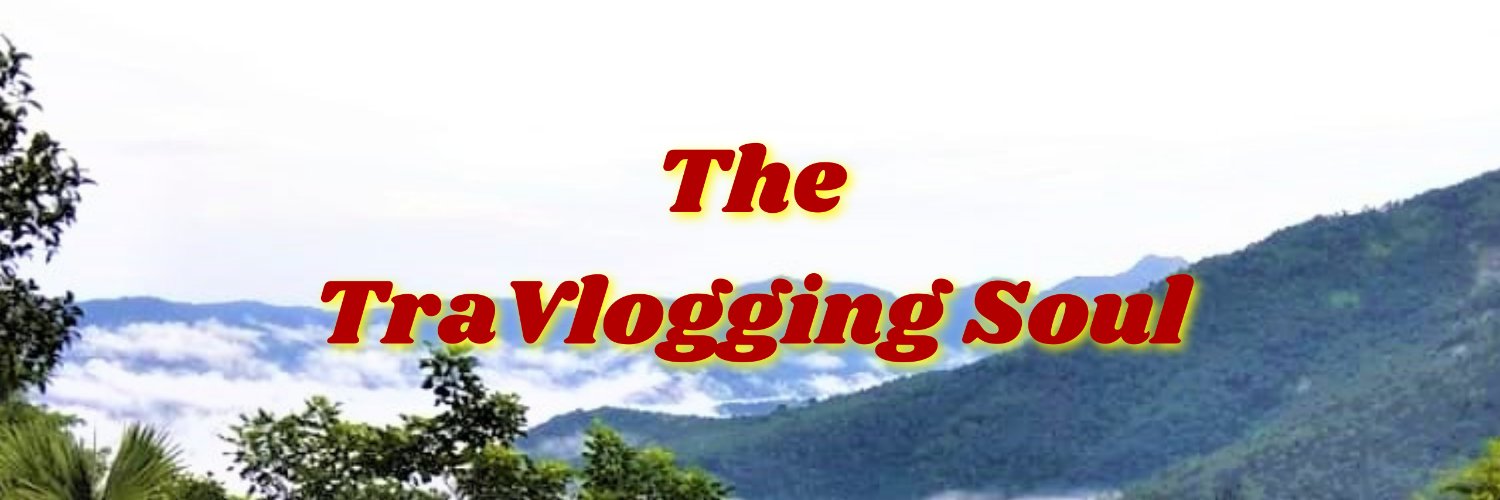 TravloggingSoul's profile banner image