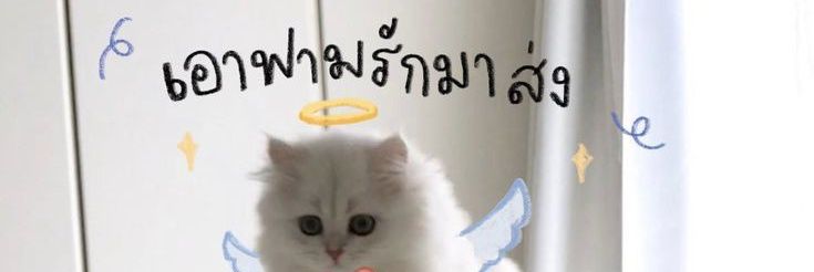 𝖁'𝖁𝖎𝖈𝖙𝖔𝖗 : ฉอบคั๊บอุ๋นแม่ banner