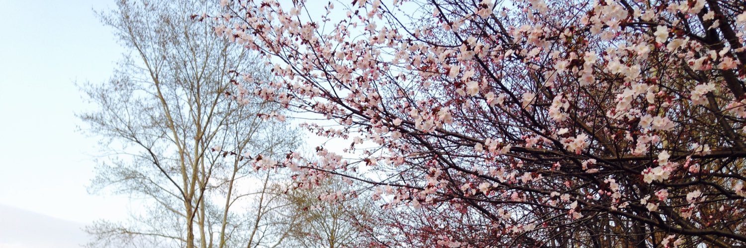 daysfulloflove's profile banner image