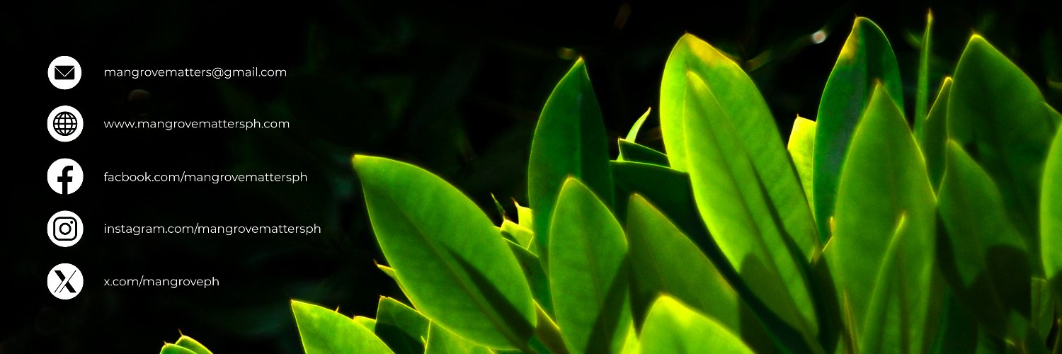 Mangrove Matters PH banner