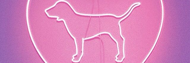 JassiAlien's profile banner image