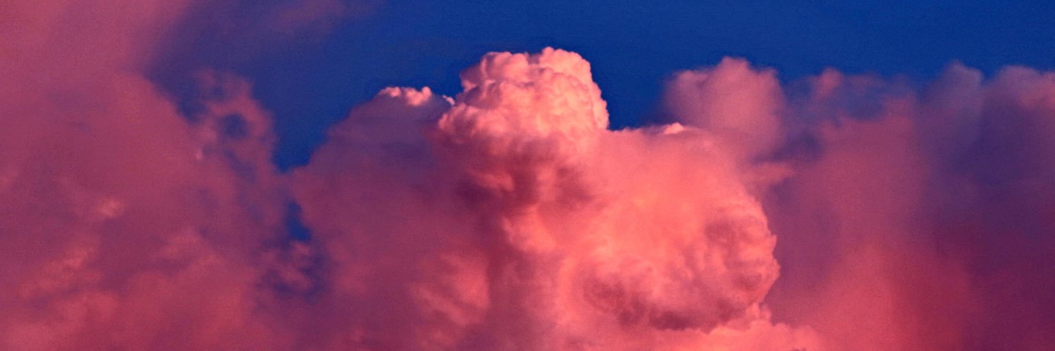 Dr. Kalea Wattles banner