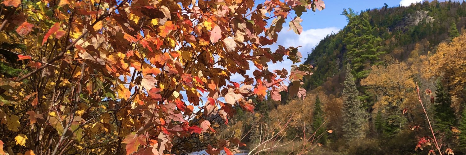 sailingrock's profile banner image