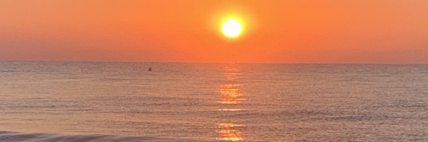 SC banner