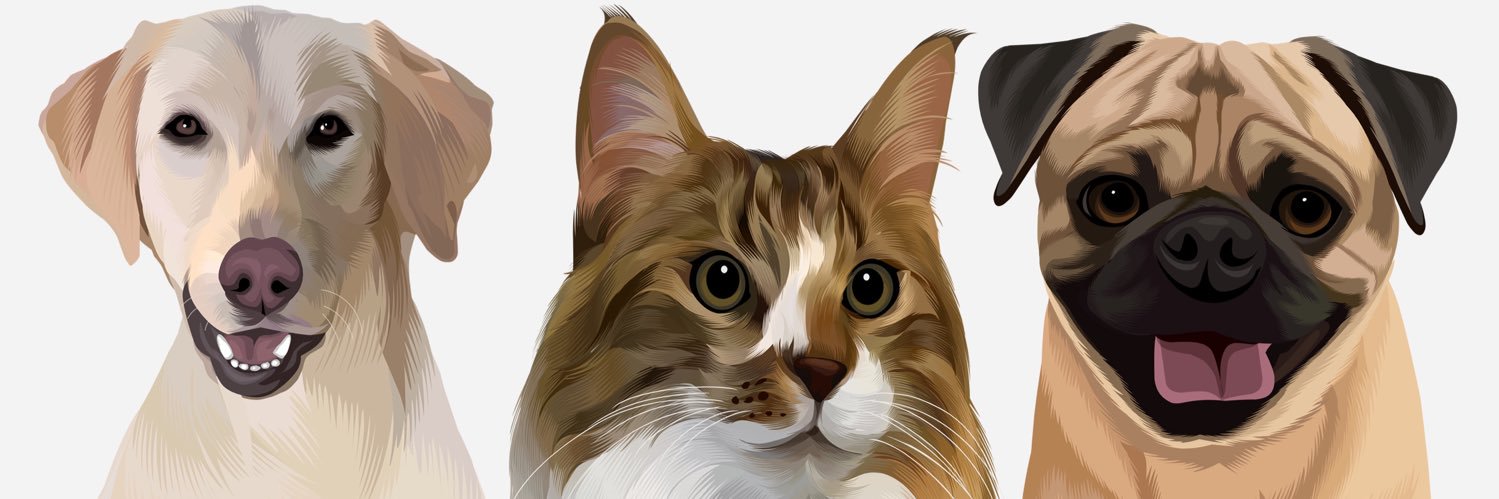 LittleRaeLawson's profile banner image