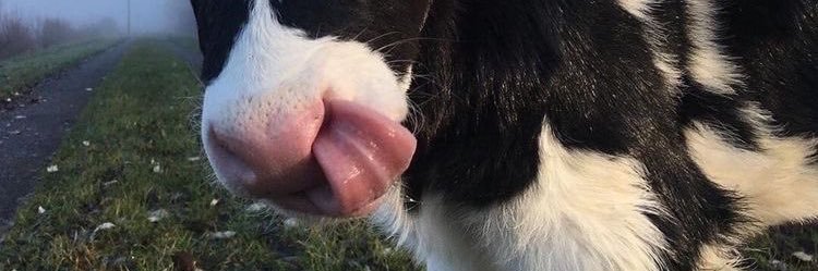 _15Cchdpff's profile banner image