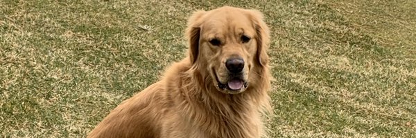 CoachMoK Profile Banner