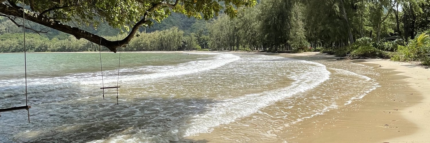 Dani Oliveros banner