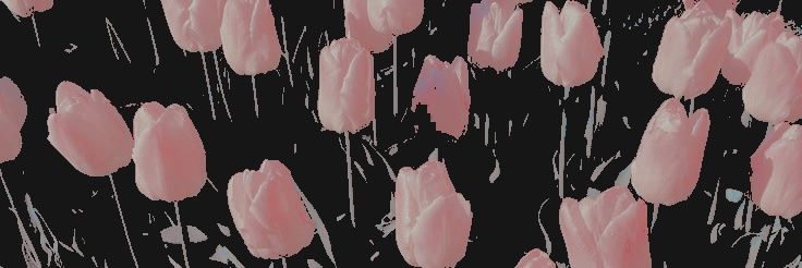 ᅠ 𝓫elly banner