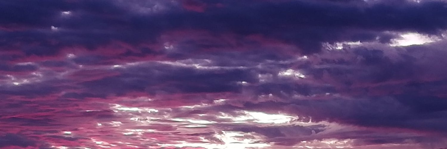 Travis banner