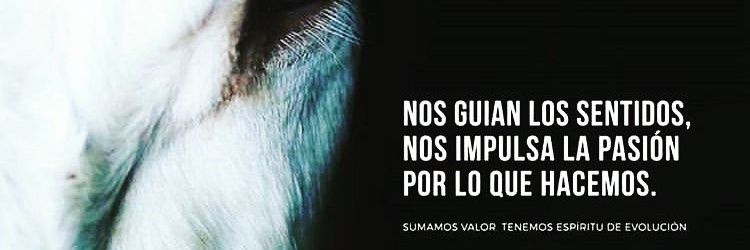 Nutrefeed S.A. banner