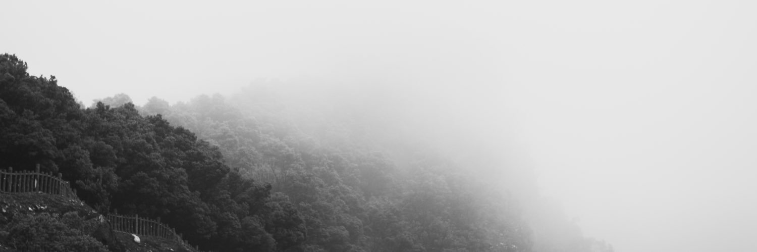 i’m thriving. banner