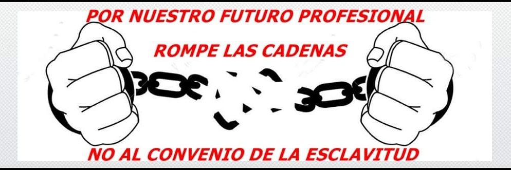 Coordinadora Estatal TES En Lucha banner