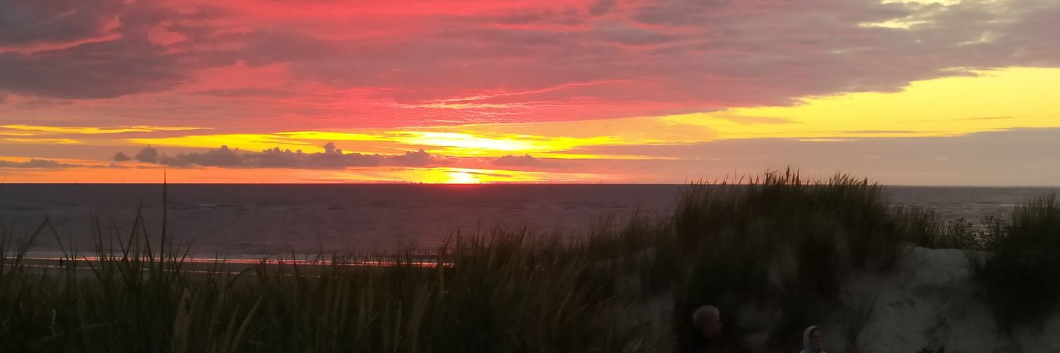 Jan Peter Schmidt banner