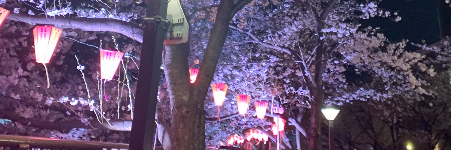 ayakaqz's profile banner image
