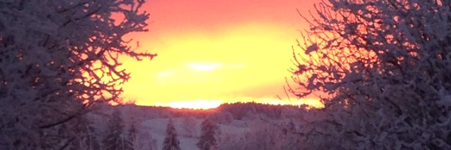SandraAntonsen1's profile banner image