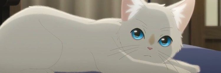 NaughtyCrazyMaid banner