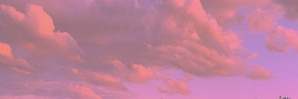 dalia banner